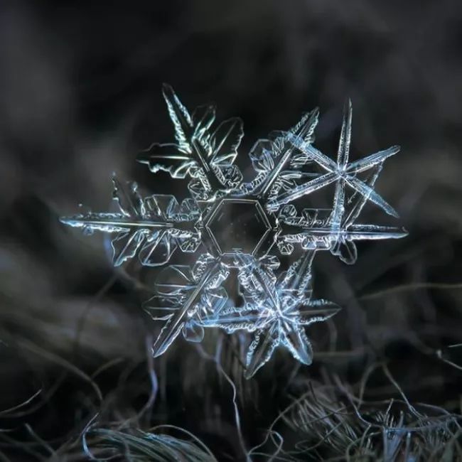 历时8年用微距镜头拍摄的雪花,超级微距拍摄雪花