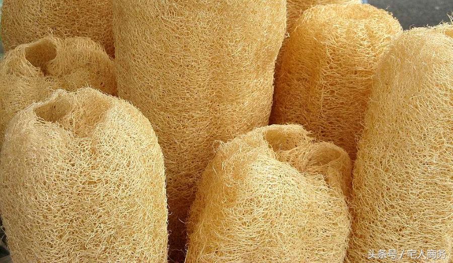 疝气食疗方法视频教程,儿童疝气食疗的最佳方法