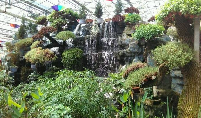 「温泉季」为你盘点天津这些约“泡”好去处！