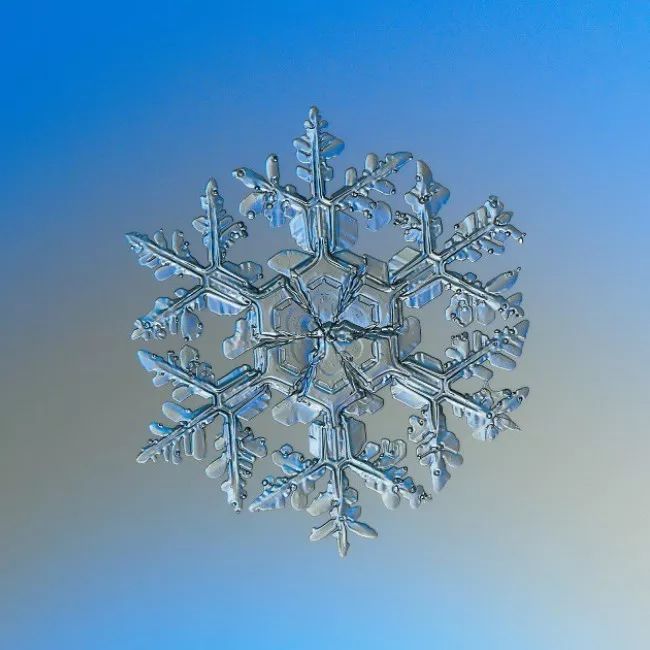 历时8年用微距镜头拍摄的雪花,超级微距拍摄雪花