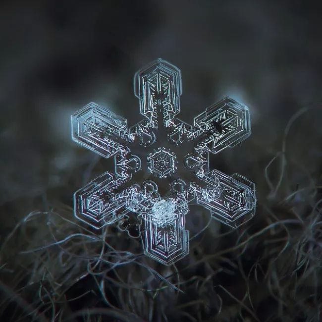 历时8年用微距镜头拍摄的雪花,超级微距拍摄雪花