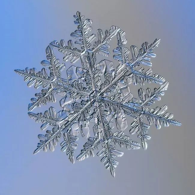 历时8年用微距镜头拍摄的雪花,超级微距拍摄雪花