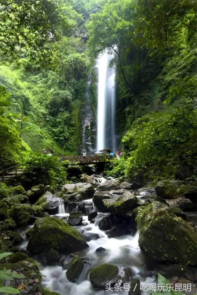 这两天德宏拽伤了，和全世界对话都是：我20度！