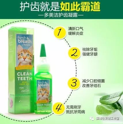 猫的牙齿什么样是健康的,猫牙齿如何保健