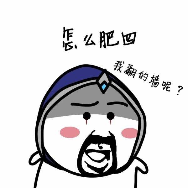 lol为什么很多英雄上不了职业赛场,lol为什么你段位高却要补位