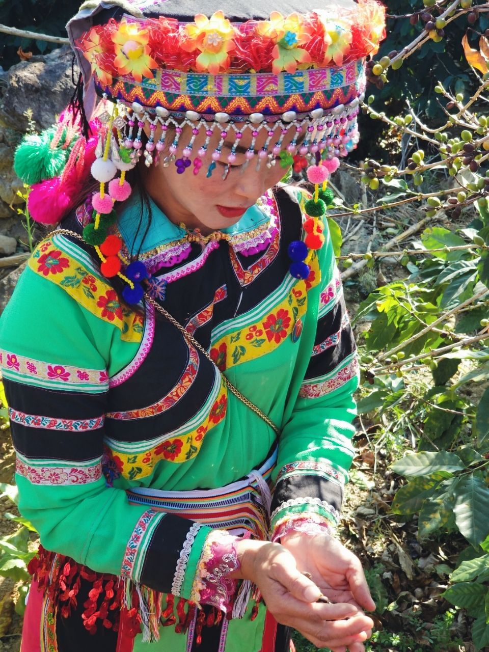 去云南适合买什么茶,云南最有名的咖啡在哪里