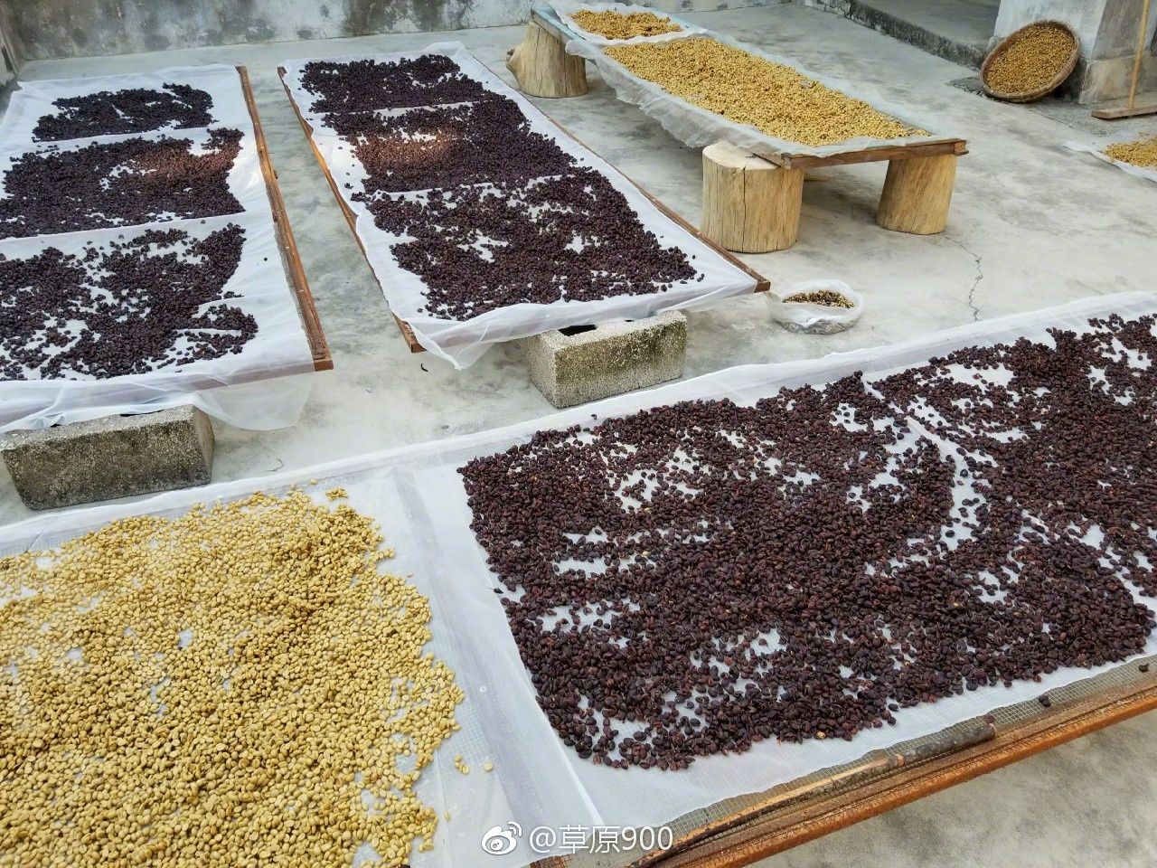 去云南适合买什么茶,云南最有名的咖啡在哪里