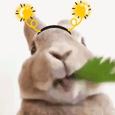 好用的隔离霜推荐有防晒系数,好用又平价的防晒隔离霜