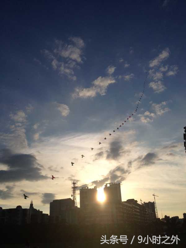 湛江空气质量全国排名,中国大陆最南端在湛江哪个镇