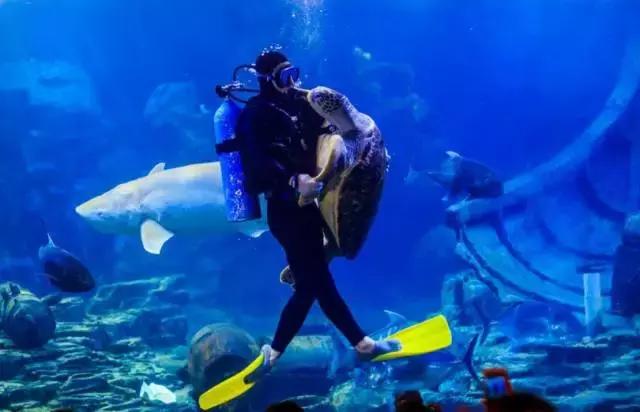 武汉今天地铁最新信息,武汉最新地铁消息