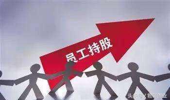 员工持股与股权激励的特点及差别,创业企业激励机制案例