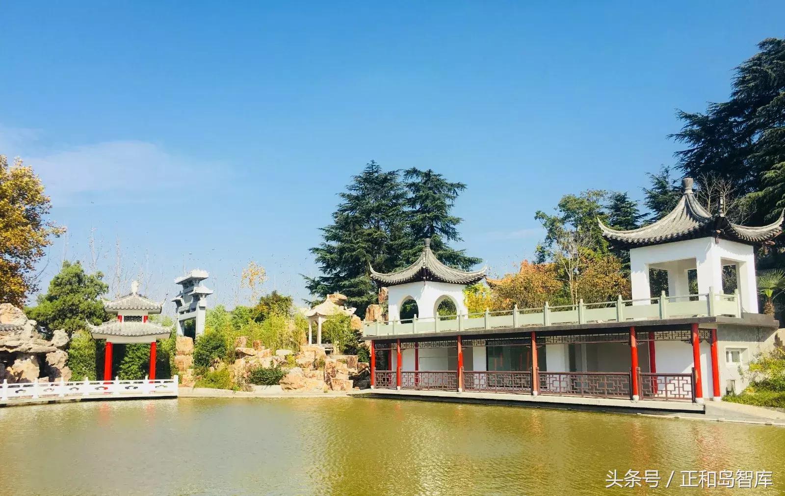 三星电梯,三星电梯施凤鸣