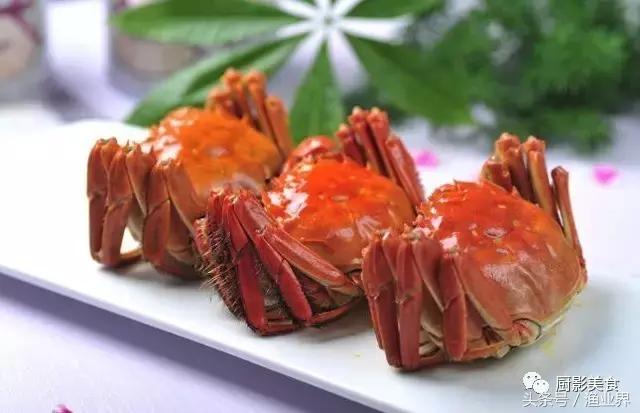 中国的螃蟹,螃蟹大赏的图片