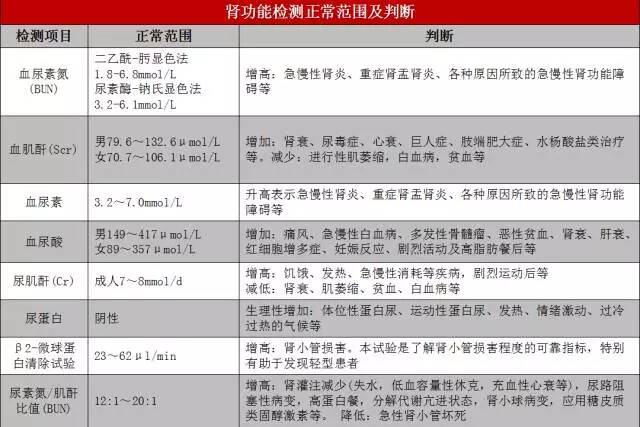 投保前体检都要查什么,投保前哪些身体指标需要特别注意