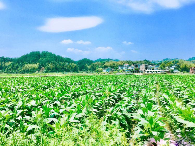 福建旅游界的一股清流，你是“佛系旅游”者吗？