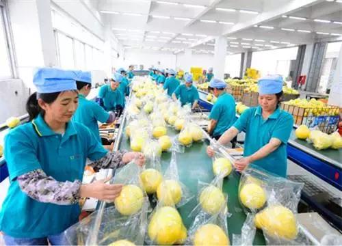 华润五丰营销,华润五丰主要做什么