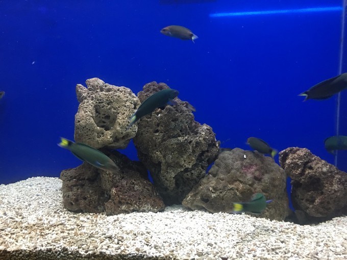 一个人越南攻略,一个人越南自驾游纪录片