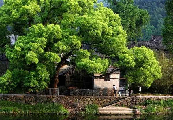 浙江适合旅居的地方,浙江宜居之地