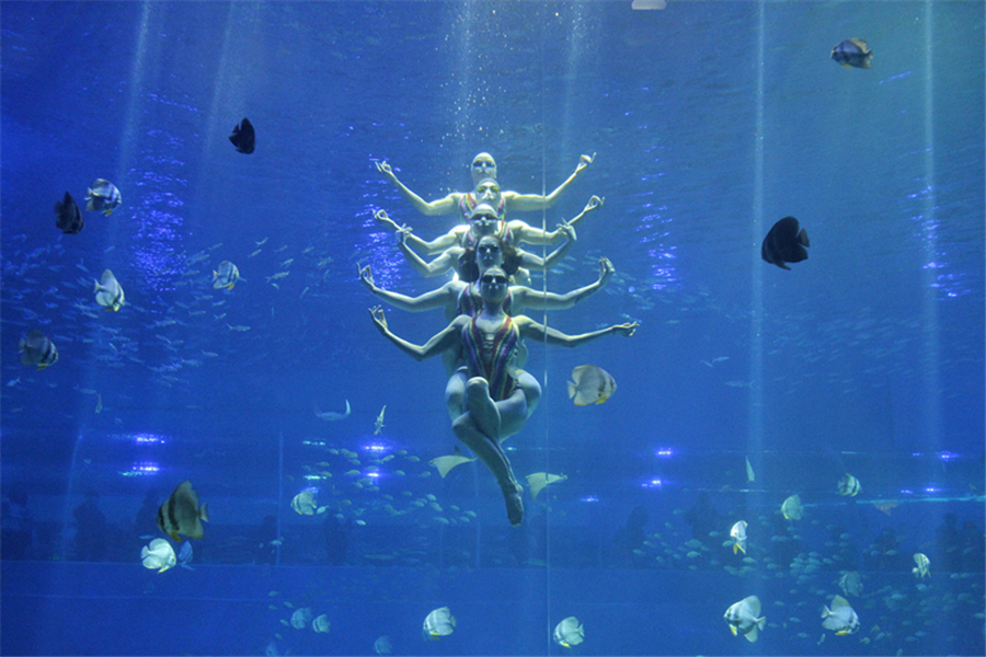 重庆汉海海洋公园团购,重庆汉海海洋公园