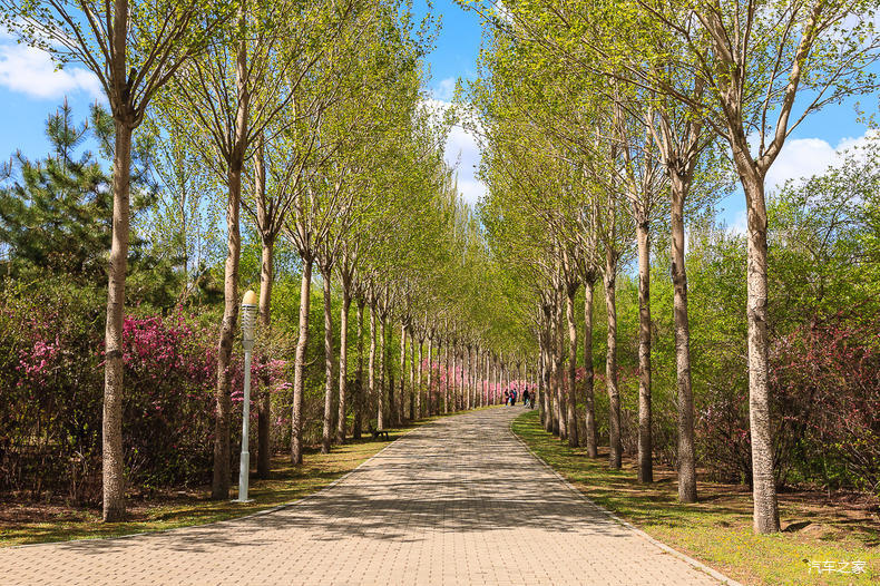 家乡之美美篇,家乡之美原唱完整版