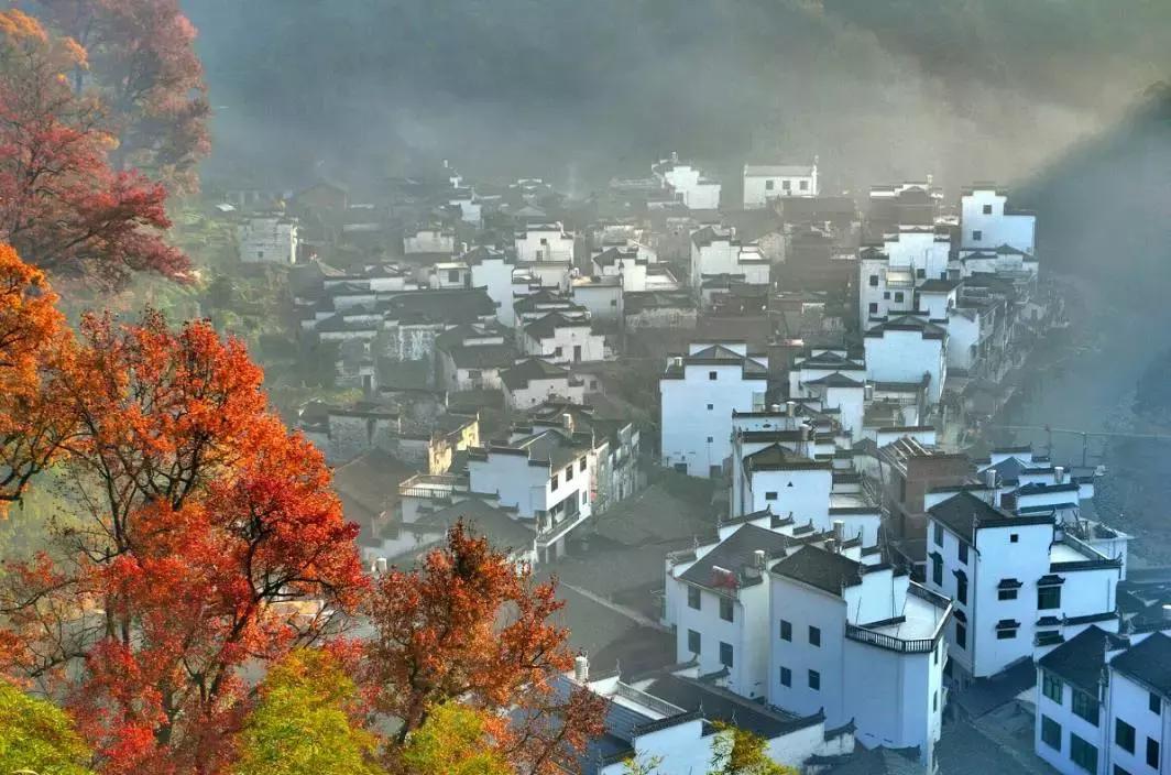 收藏一些自己喜欢的东西,收藏起来你一定用得到