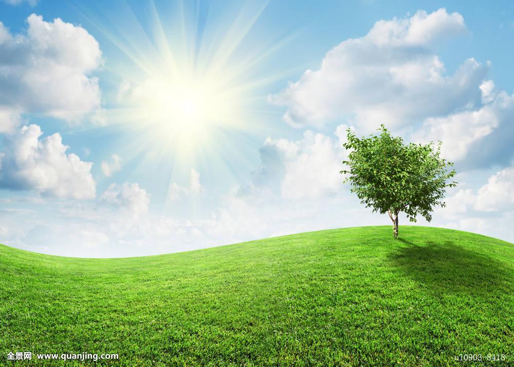 皇冠店铺有哪些,皇冠店铺的共性与优势