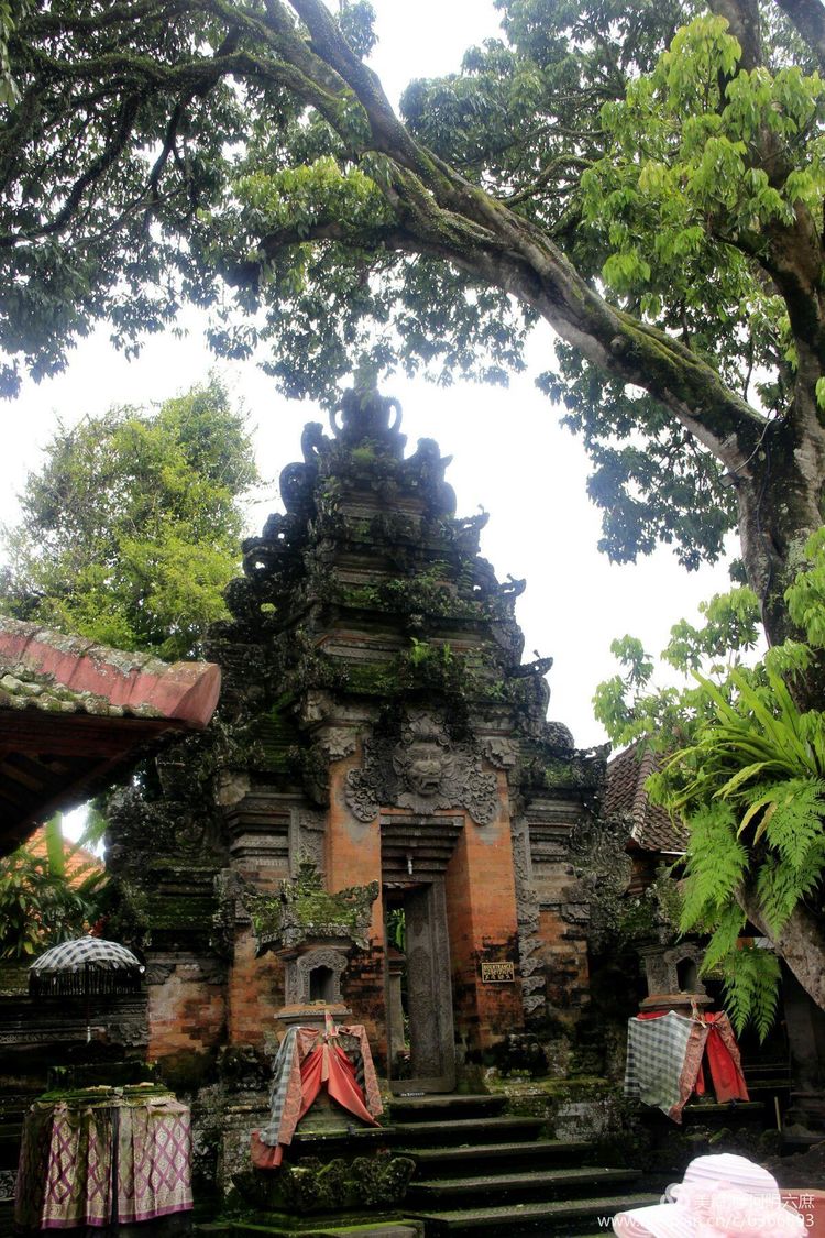 印度尼西亚巴厘岛印度教寺庙,巴厘岛最田园的热带风景
