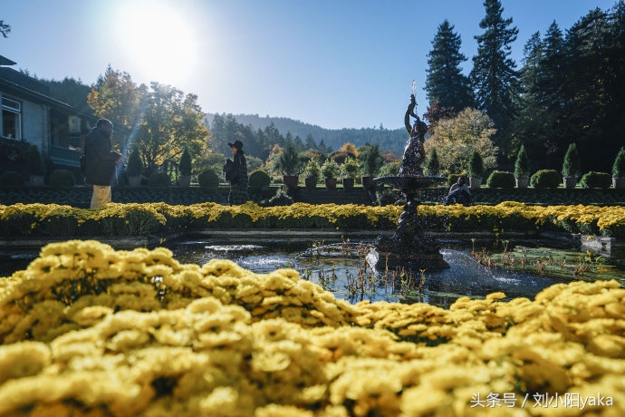 维多利亚水廊旅游,加拿大旅行景点