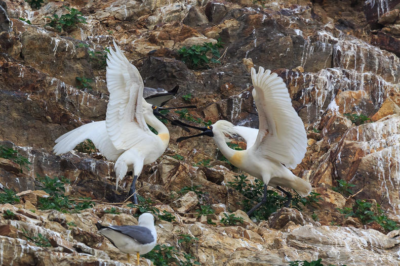 家乡之美美篇,家乡之美原唱完整版