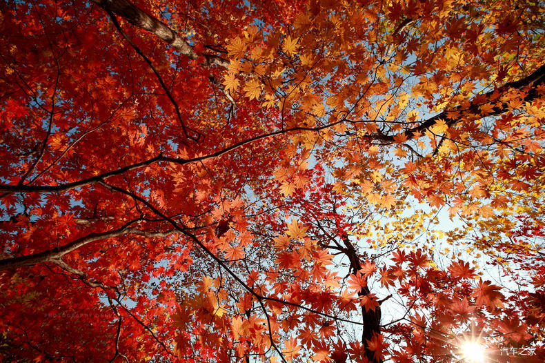 家乡之美美篇,家乡之美原唱完整版