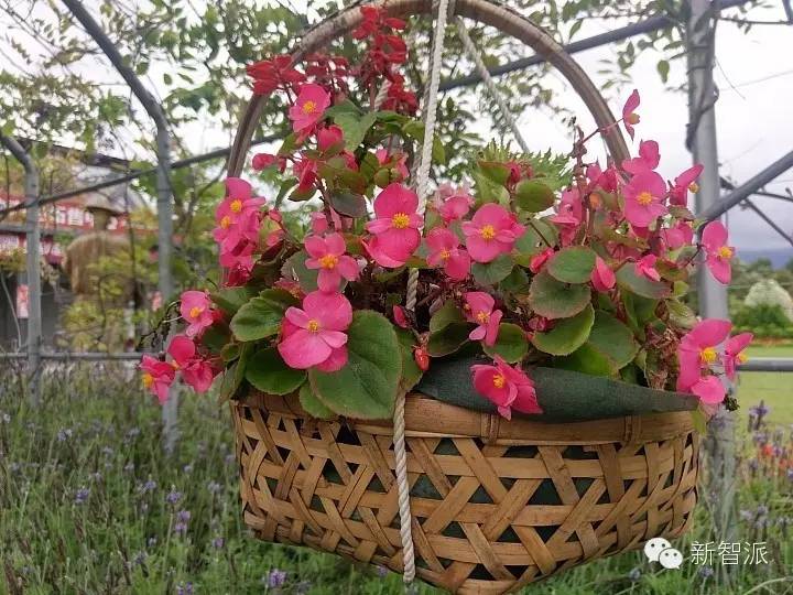 HTC10详细使用体验评测，真的能让HTC咸鱼翻身吗