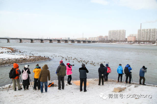 摄影狗，没女友，见了都得绕着走｜推荐