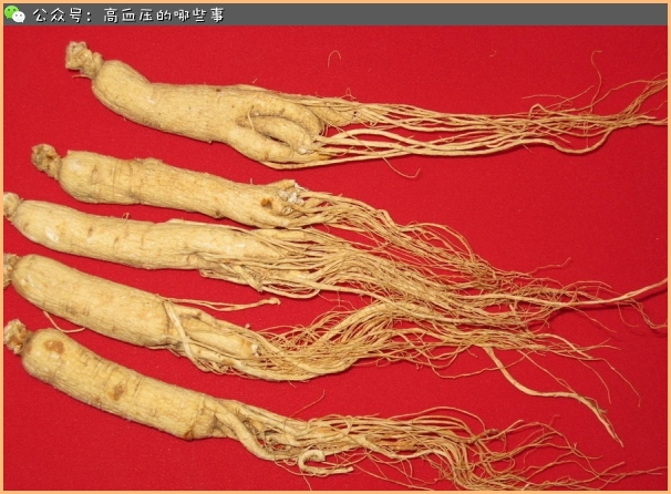 附子少量升血压大量降血压,高血压患者还适合服用附子吗