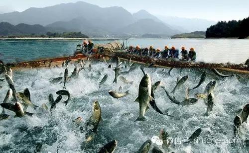 水产养殖对水体的五大指标有哪些,水产养殖各种指标什么意思