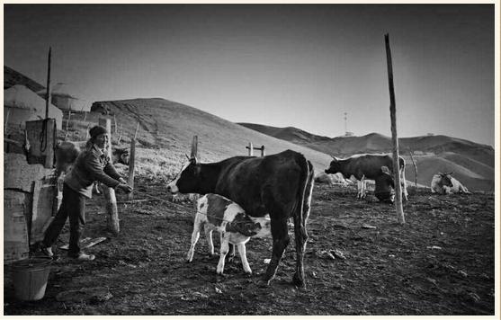 西行奇遇记完整视频,西行奇遇记