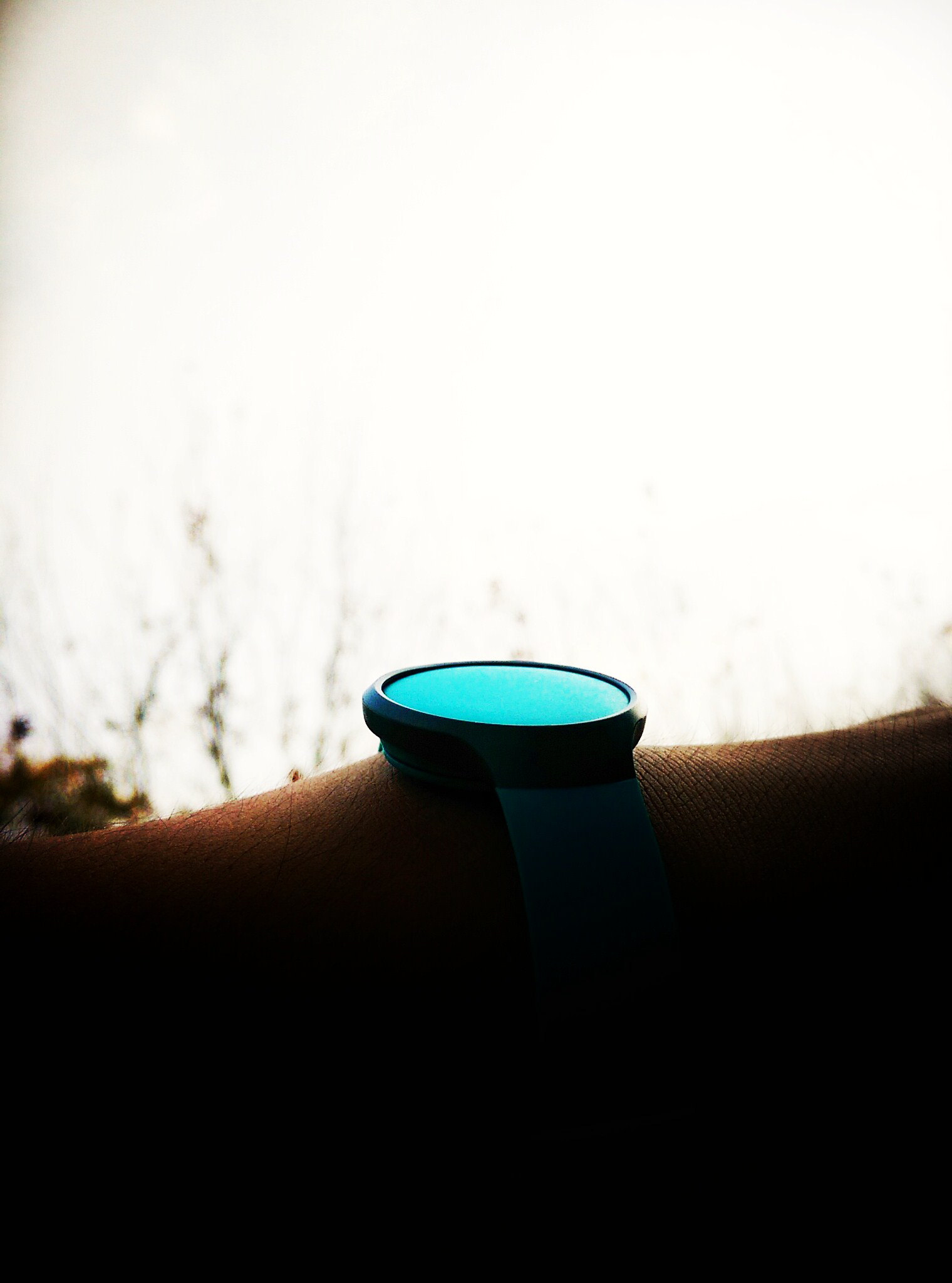 misfit测评,misfit品牌