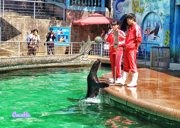 中南百草动物园,中南百草园萌宠乐园