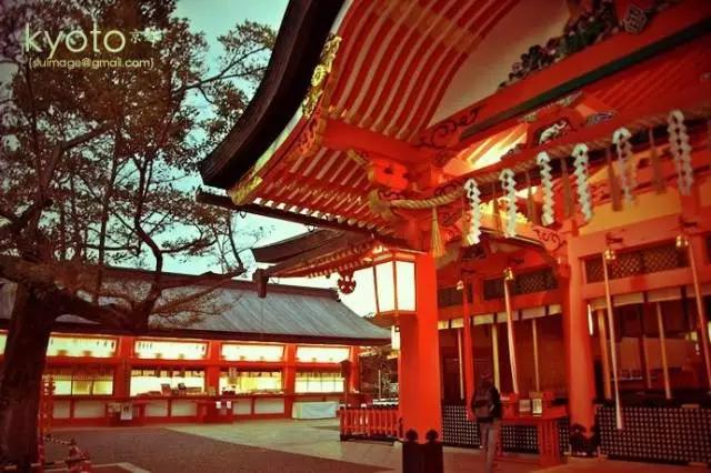 曼莉专栏｜葡萄*妞小**随妈游日本