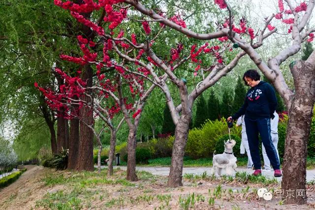 如果有人说“望京什么破地儿?”就把这条微信甩给他