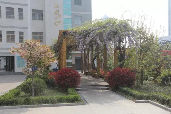 连云港前十名重点小学,连云港最好的贵族小学