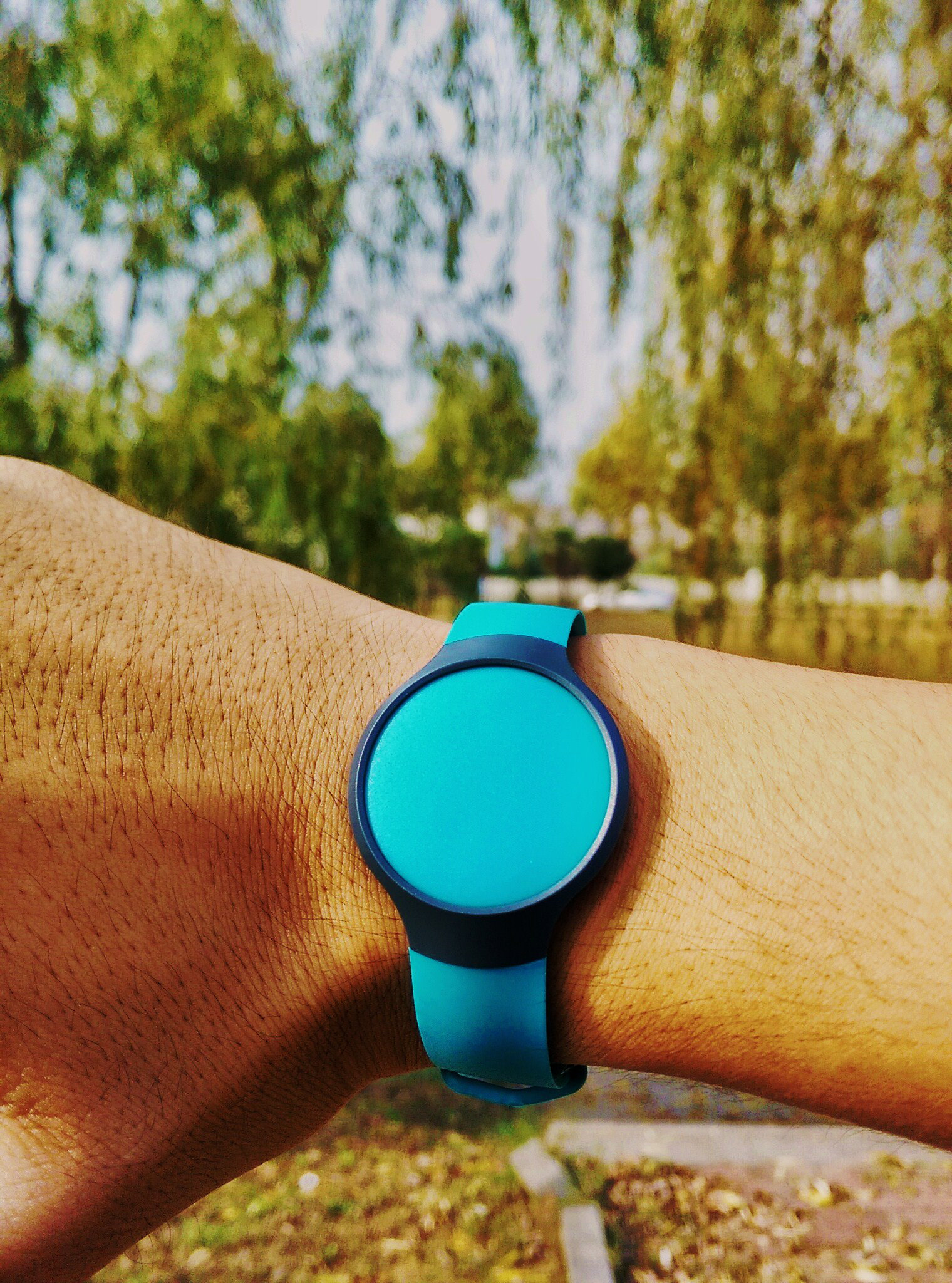 misfit测评,misfit品牌