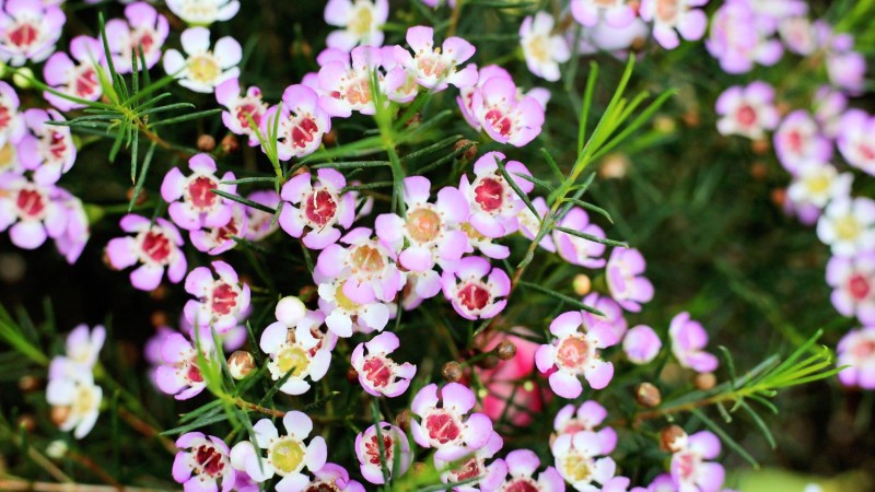 全过程记录,揭秘廉价济州岛跟团游背后的真相