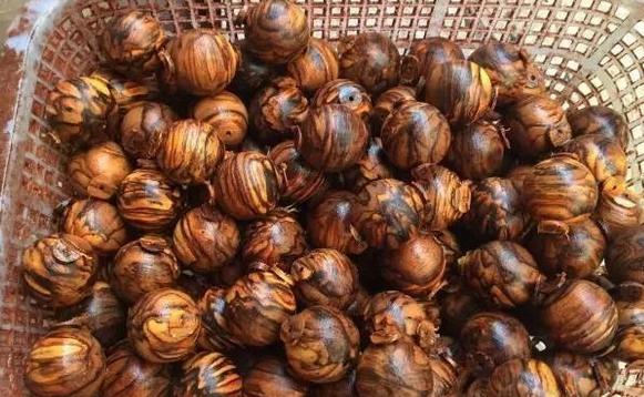 紫檀柳与黄花梨原木对比,紫檀柳木料和黄花梨