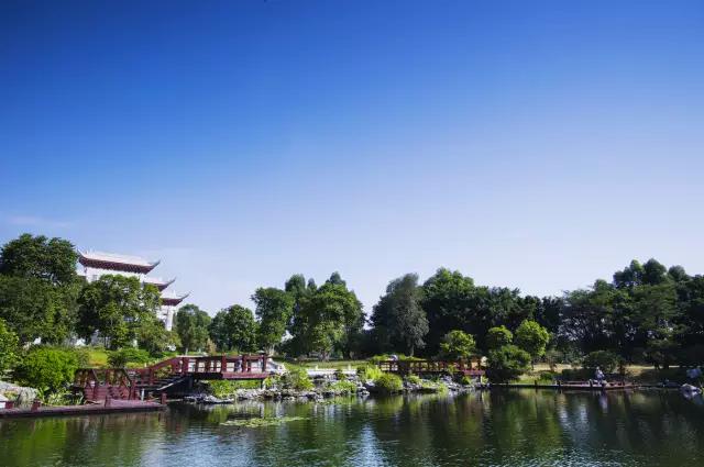 广州遛娃周边游玩好去处,广州市区遛娃打卡好玩的地方