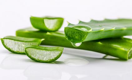 新复方芦荟胶的功效与作用,芦荟胶的功效与作用有哪些呢