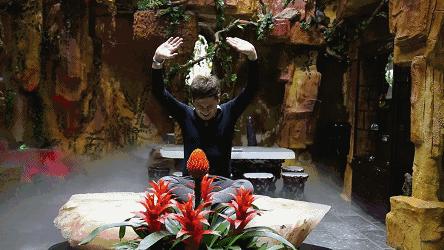 顺德大良||当水晶遇上美食，可以产生点样嘅磁场共振？