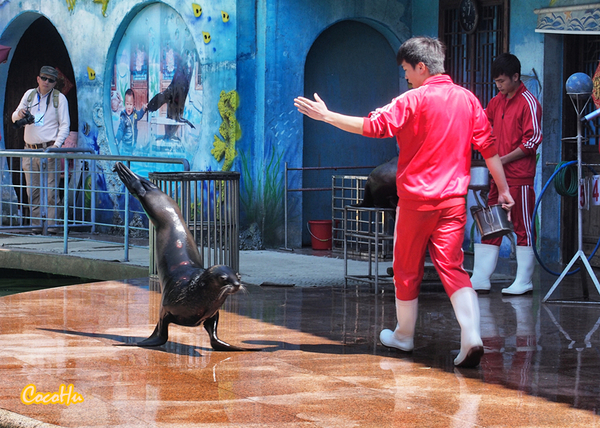 中南百草原景区动物园,中南百草原景区动物