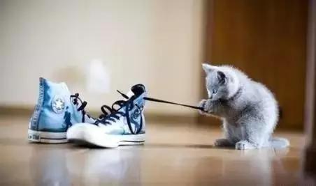 去除脚臭的方法,去除脚臭小方法