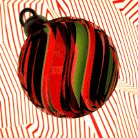 我跟与倪妮做邻居的姐姐聊了聊,她买菜时都背什么包