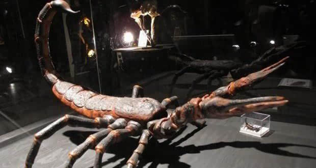 已灭绝的巨型生物海蝎子,史前最强生物蝎子